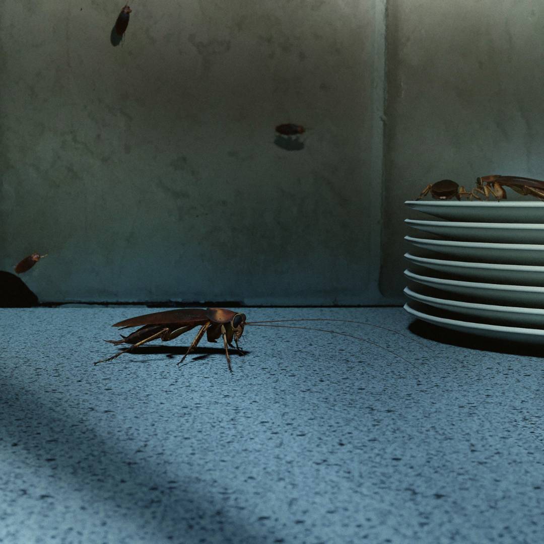 萬有清潔的資訊專區圖片